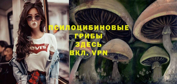 MDMA Premium VHQ Богородицк