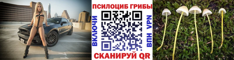 Псилоцибиновые грибы GOLDEN TEACHER  купить наркоту  Гулькевичи 