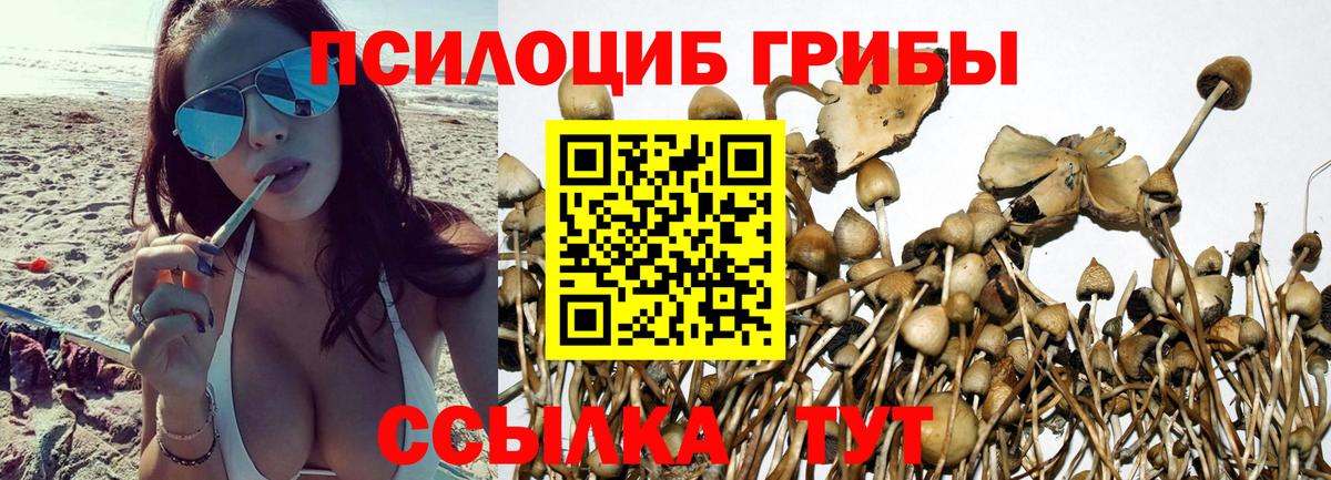 Галлюциногенные грибы MAGIC MUSHROOMS  Вход с VPN  Гулькевичи  Галлюциногенные грибы прущие грибы 