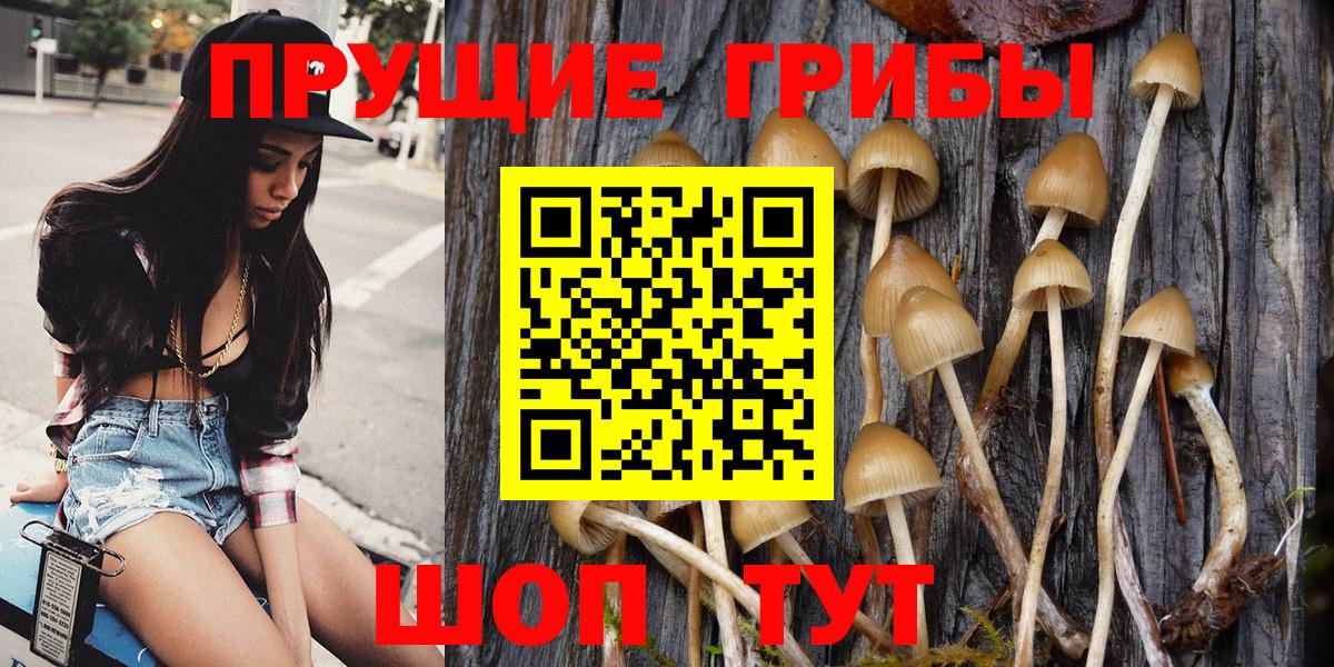 Галлюциногенные грибы GOLDEN TEACHER Гулькевичи